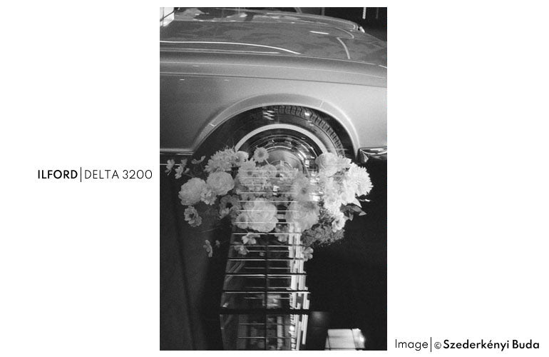 Ilford Delta 3200/36