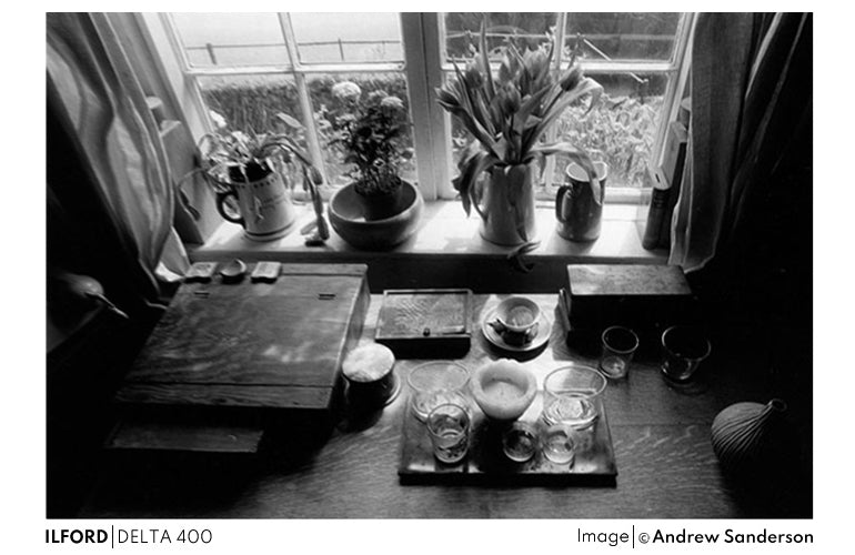 Ilford Delta 400/36