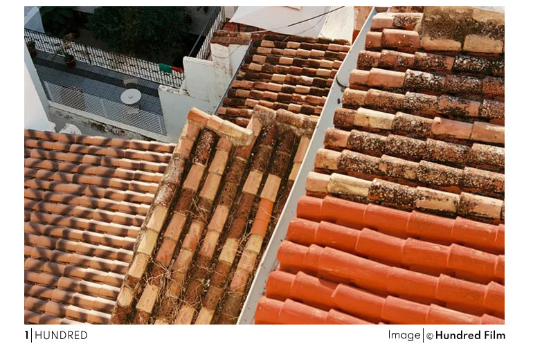 1Hundred Color Film 100/36