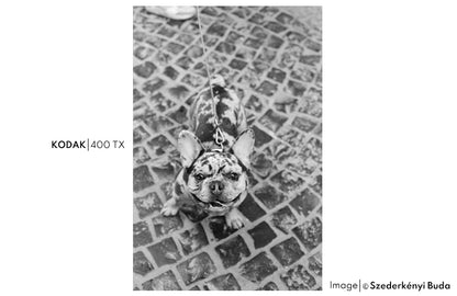 Kodak 400TX 400/36