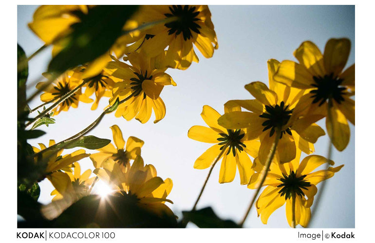 Kodak KODACOLOR 100