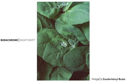 Budachrome Night Shift Vision 3 500T/36 - AHU