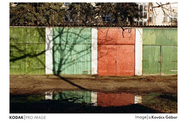 Kodak Pro Image 100/36